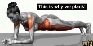 this-is-why-we-do-plank
